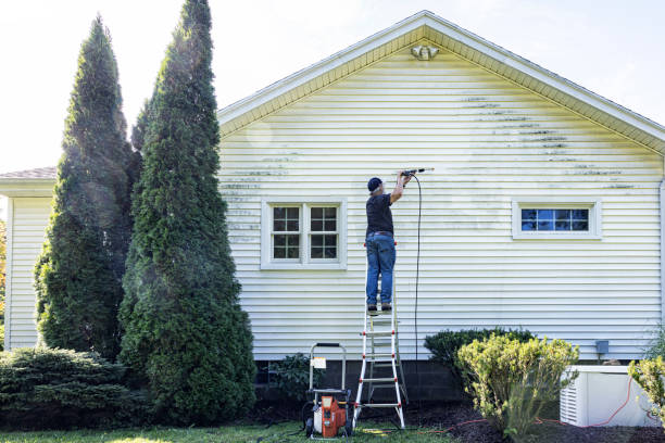 Best Soft Washing  in Brookfield, NJ